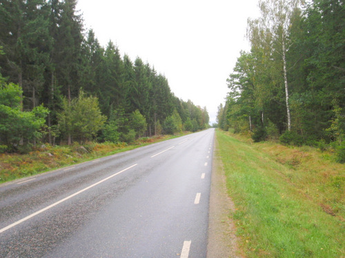 Forest Country.